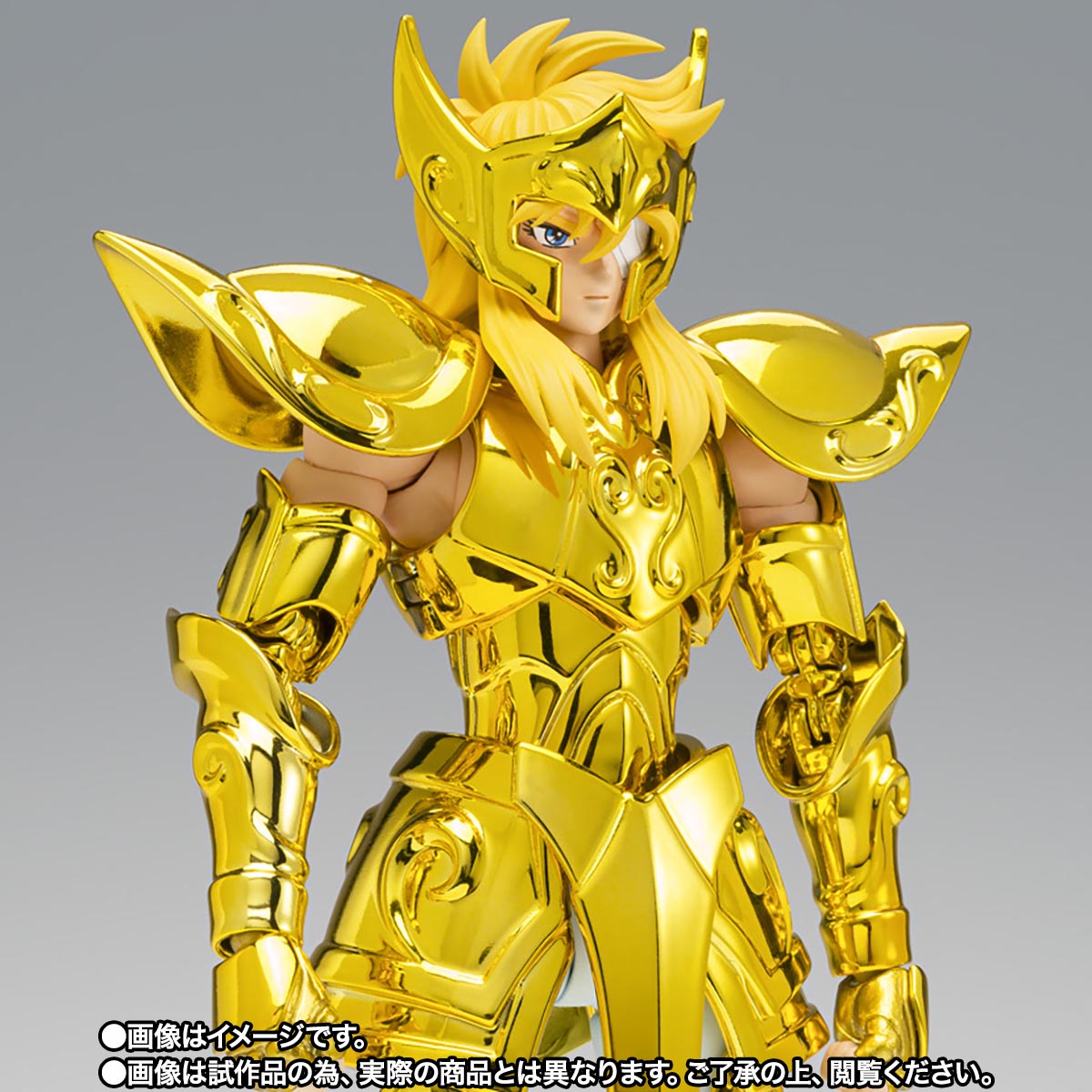 Aquarius Hyoga - Gold Cloth Inheritor -