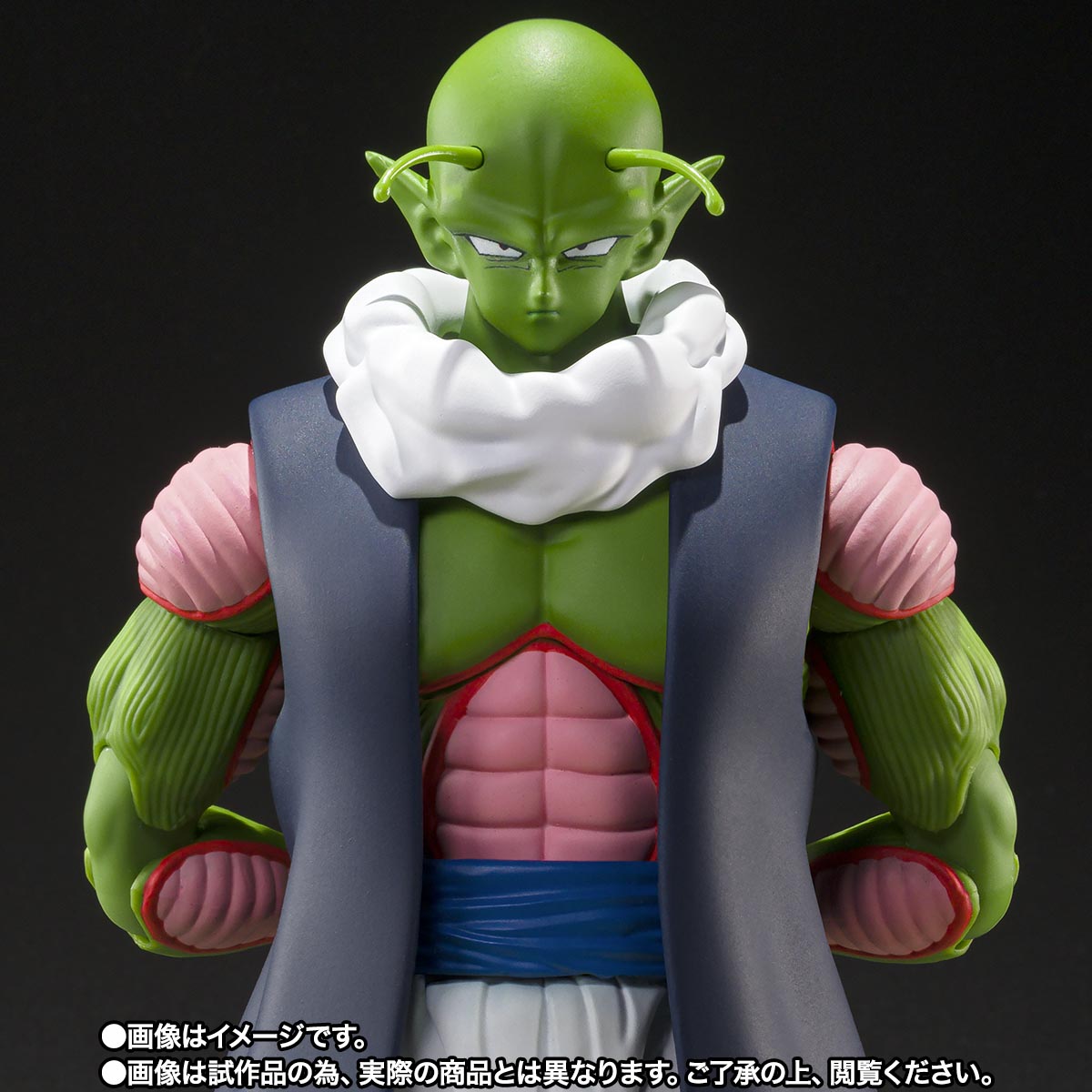 S.H.Figuarts Nail