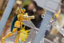 Saint Seiya - Aquarius Camus - D.D. Panoramation