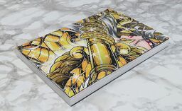 Saint Seiya: Next Dimension - Meiou Shinwa - Comics - Shounen Champion Comics Extra - 16 (Akita Shoten, Bandai Spirits)