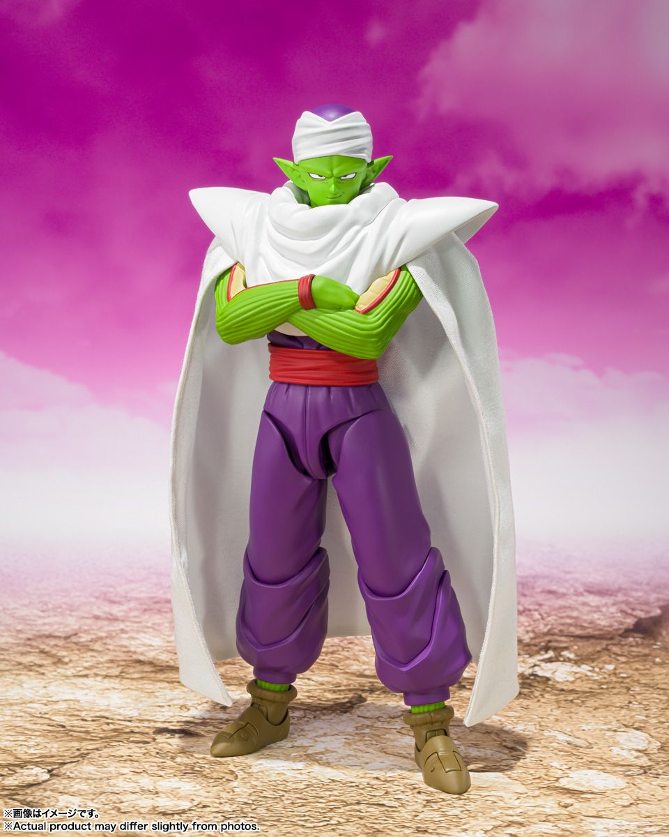 Piccolo -DAIMA-