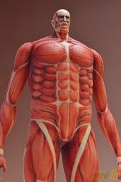 Shingeki no Kyojin - Chou-ougata Kyojin - Figma (Max Factory)