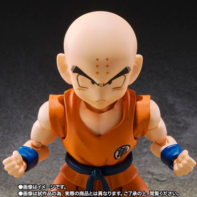 Krillin - Son Goku Best Friend -
