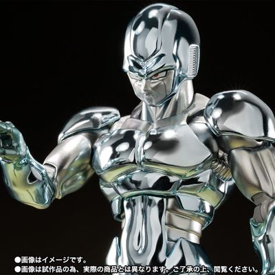 Metal Cooler
