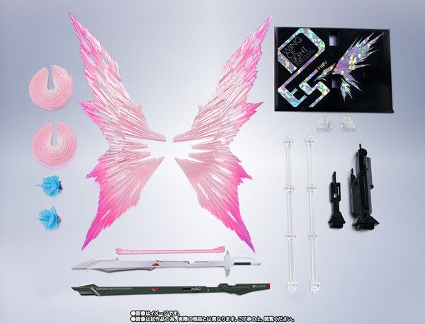 Gundam Metal Robot Spirits Destiny Gundam (20th Anniv. Ver.)