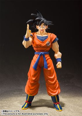 Son Goku - Earth-raised Saiyan -