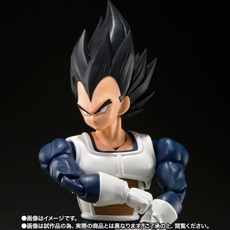 Vegeta - Old Battle Suit -