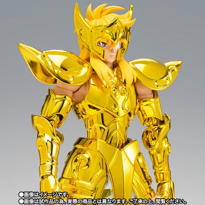 Aquarius Hyoga - Gold Cloth Inheritor -