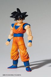 Dragon Ball Z - Son Goku - Shodo - Secret